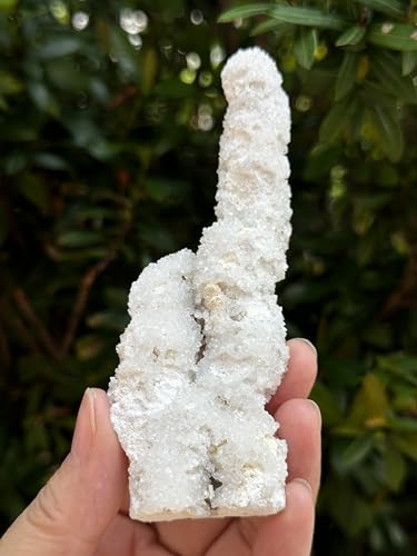 Image of GAF TREASURES Chalcedony & Crystal Quartz Stalactite 3-8 inch, Natural Quartz on Chalcedony Stalactite Specimen (0.12-0.25 lb)