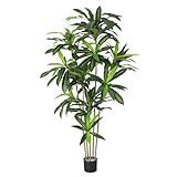Hoencraft Artifical Dracaena Tree, 6FT Tall Faux Olive Tree for Indoor and Outdoor, Artificial Plants with Basic Planter, Lifelike Fruits and Realistic Wood Trunk for Home Office Decor