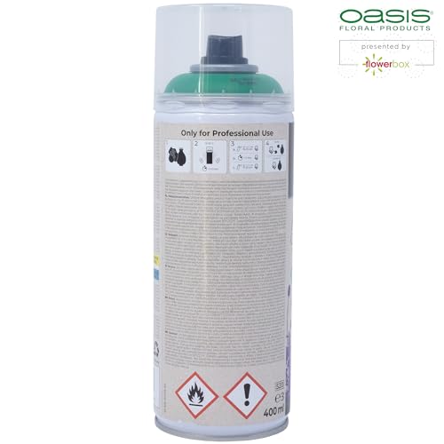 Flowerbox Oasis Aqua Colour Spray Paint Green 400 ml Spray Paint Satin Matt for Outdoor and Indoor Use