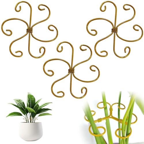 Plant Stabilizer for Indoor Plants Plant Stem Support Plant Accessories Indoor Monstera Plant Support Ideal Plant Stem Holder for Thriving Growth (3PC-A)