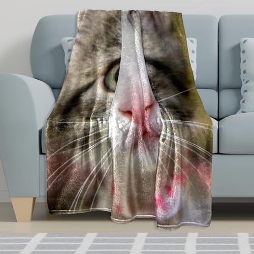 Couverture polaire chaton plaid anti-froid pour lit et canape - 6