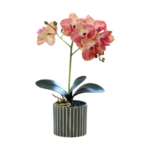 Genérico Orquídea Artificial de Ocho Cabezas