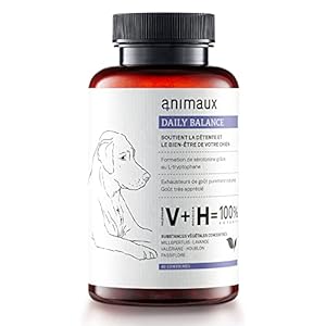 Calmant Naturel pour Chiens – 40 comprimés à mâcher – Snack Anti-Stress pour la détente dans des environnements stressants avec valériane, millepertuis & L-tryptophane – animaux Daily Balance