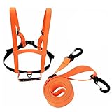 Ski und Snowboard Gurt, Skitraining Ausrüstung, Zubehör für Skating und Skifahren, Verstellbarer Skiriemen, Skiriemen mit Organizer, Ski Zubehör für Anfänger, Skisicherheitswesten und Seile(Orange)