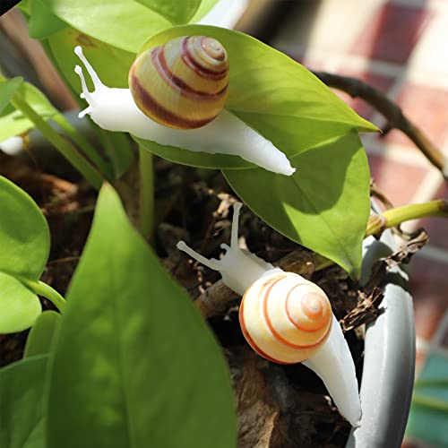 Imanes decorativos de caracol natural para refrigerador, 7 piezas miniatura 4