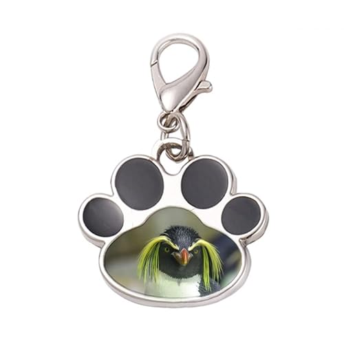 DIYthinker?Sea Science Nature Antarctic Penguin Picture Pet Tag Keychain Dog Cat ID