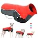 Didog Reflective Dog Winter Coat Sport Vest Jackets Snowsuit Apparel - 8 for Small Medium Large Dogs,Red,3XL Size