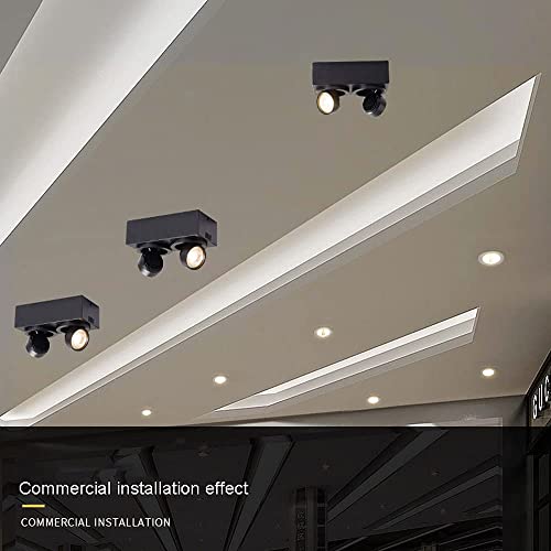 Spot de plafond avec projecteur orientable à double faisceau précis