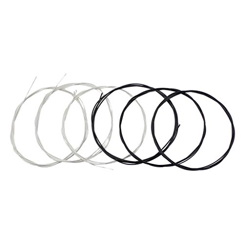 ÓTM^[Zbgc103M^[6{Zbg