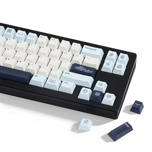 Capuchons de touches PBT anti-effacement bleus pour réparer et personnaliser un clavier mécanique