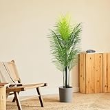 BLAINE | Palmera 160cm | Plantas Artificiales Decorativas | Planta Artificial Grande | Plantas Artificiales para Interior/Exterior | Planta Artificial Realista Decorativa para Casa