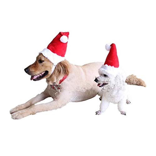 BT Bear® Weihnachtskostüm für Hunde und Katzen, Weihnachtsmütze für Welpen, Kleine, Mittelgroße und Große Hunde