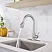 WOWOW Kitchen Faucet with Sprayer, Kitchen Sink Faucet, SUS 304 Stainless Steel, High Arc Single Handle Brushed Nickel Kitchen Faucets with Pull Down Sprayer, Pull Out Kitchen Faucet with Deck Plate