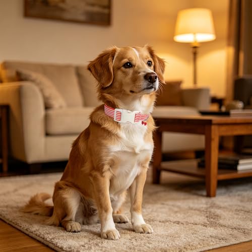 Image of ARING PET Red Striped Dog Collar for Small Medium Large Boy Girl Dogs-XS