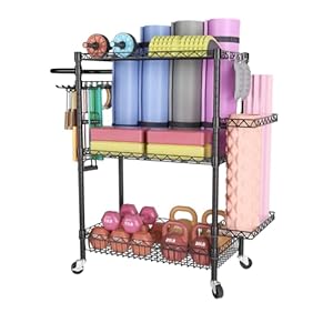 SINGAYE Dumbbell Rack, Balls Workout Equipment Sto...