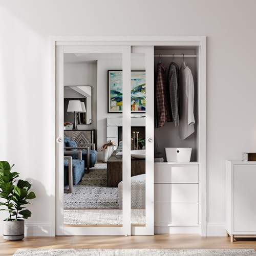 COSHOMER 60x80 Preassembled Mirror Door