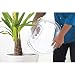 Candy Smart CSO H8A2DE-S, Asciugatrice a Pompa di Calore, 8 Kg, Wi-Fi...