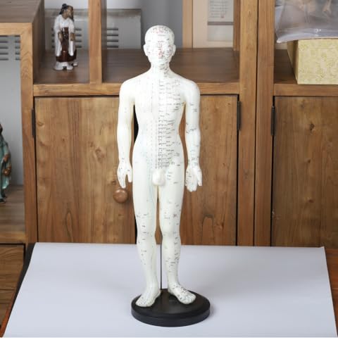 CHOUDHARY ACUPRESSURE Acupuntura modelo de acupuntura humana modelo de acupuntura chino e inglés Estatua de acupuntura puntos chupete corporal (macho, 50 cm)