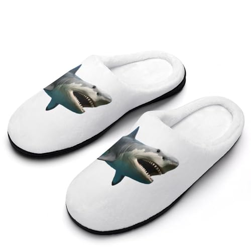 [ZKCASA] Xbp  T Shark [V[Y   qp h  g 􂦂 ~ jp I[V[Yp 7-8i39-40)