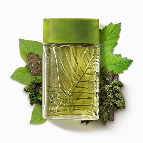Arbo Forest Desodorante Colônia 100ml O Boticário 5 410D2IUiwvL