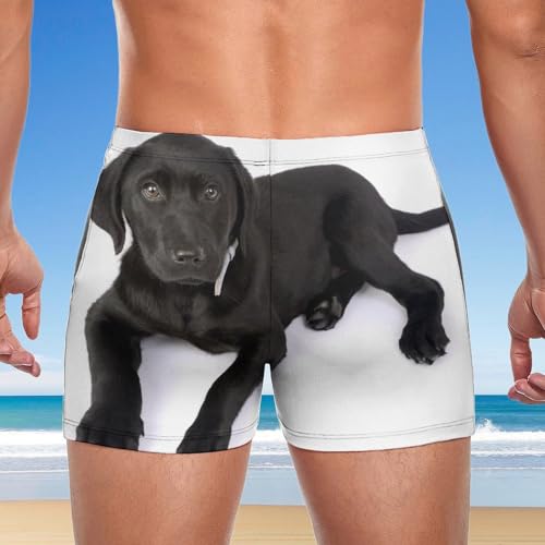 Maillot de bain imprimé Labrador noir stretch pour homme actif