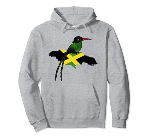 Cute Cartoon Red-billed Streamertail of Jamaica Pullover Hoodie
