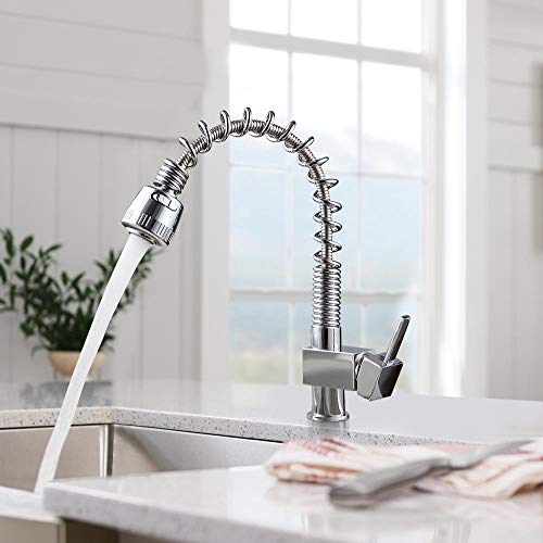 Preisvergleich Produktbild Froadp Modern Küchenarmatur Spiralfeder Einhebelmischer Wasserhahn Verstellbarer Sprühkopf Messingrohr Flexibler Schlauch Hotel Familie Küche Bad(Type A)