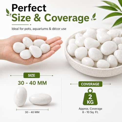 Image of Go Garden Polished White Pebbles Glossy Stones - 2Kg (2.5cm - 4cm) | Premium Decorative Stones for Vase Fillers, Aquarium, Terrarium, Garden, Home Decor & Landscaping