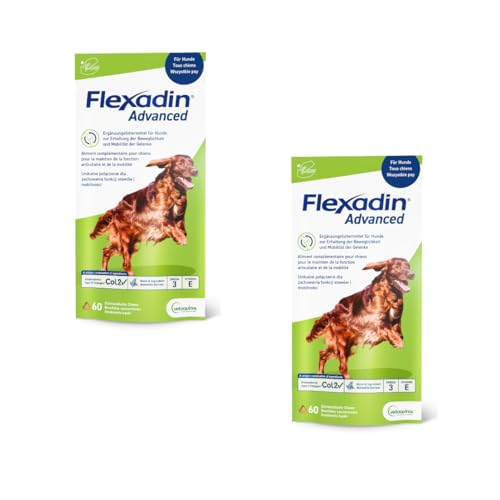 Flexadin Advanced für Hunde | Doppelpack | 2 x 60 Chews | Ergänzungsfuttermittel zur Unterstützung der Gelenkgesundheit | Mit immunaktivem Kollagen, Omega-3 & Vitamin E
