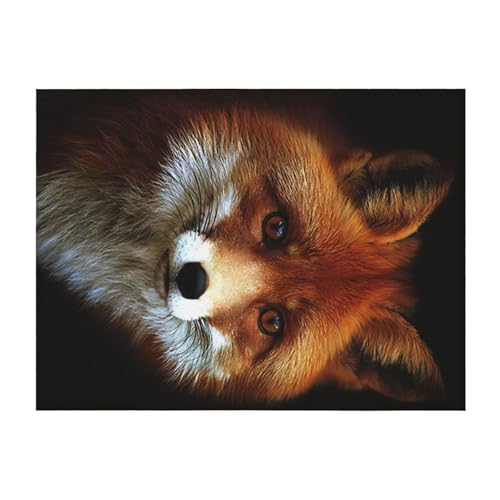 Couverture de lit légère microfibre confort thermique FOX2 - 2