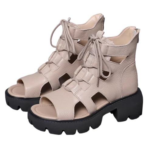 [`GOC] T_ fB[X T}[u[c  6cmq[ 6cmq[ ɂȂ Ȃ I[vgD Cĕ ItBXT_ 24.5 cm RT[g EFbW\[ d J[L OL rWlX nCq[