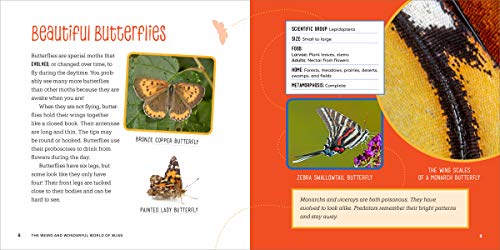 image for Rockridge Press The Weird and Wonderful World of Bugs: A Book About Be