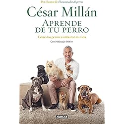 Arneses Miller Aprende de tu perro: Cómo los perros cambiaron mi vida (Divulgación)