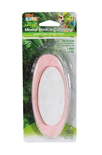 Image of Penn-Plax Bird-Life 2-in-1 E-Cuttlebone & Mineral Block, 1 Pack (1 Count) - Pink Berry Flavor - Enriched with Vitamins, Omega 3 & Honey - Easy Mounting - Great for All Bird Sizes