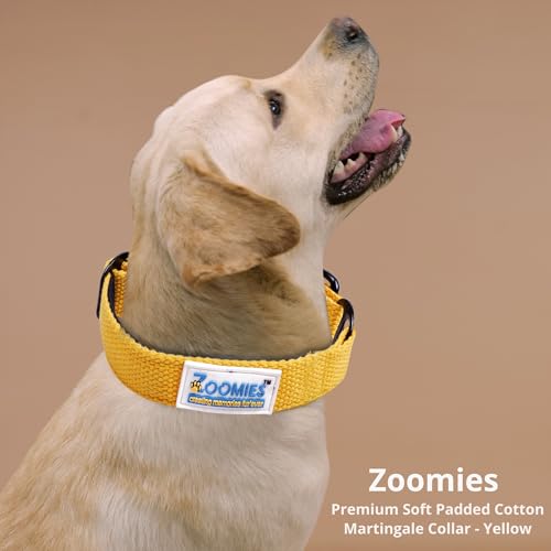 Image of ZOOMIES Martingale Dog Collar, Premium Soft Padded Cotton, No-Pull Training Design, Medium, Yellow, 45 x 2.5 cm