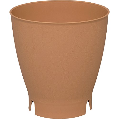 ACXI[}  GAX[|bg ʎEop 12 EH[uE