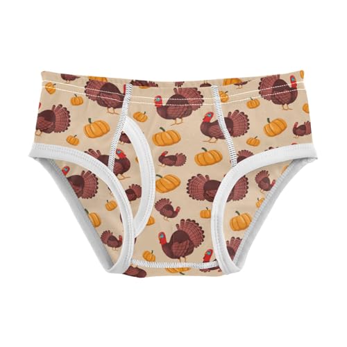 Boys' Exclusive Briefs Toddler Underwear 95% Combed Cotton Boxerbriefs 2T Turkey and Pumpkin Pattern 11