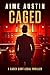 In Plain Sight (A Casey Cort Novel Book 4)