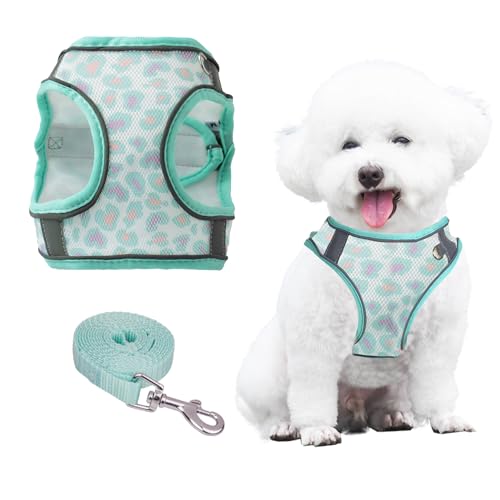 PawSailor Pettorina Cane Taglia Piccola con Guinzaglio, Anti Tiro Step-in con Stampa Floreale Mesh Traspirante, Pettorina Cuccioli Regolabile Riflettente Imbottita Morbida A Prova di Fuga Verde XXXS