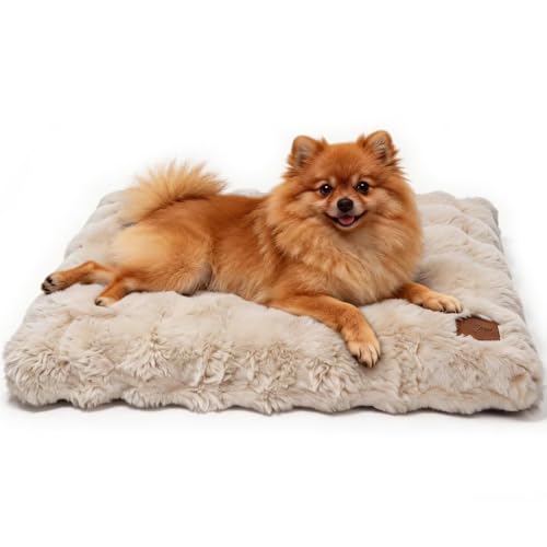 BingoPaw Panier pour Chien Moyen Taille: 76x51x10cm Coussin Chien Déhoussable et Lavable en Machine, Tapis Matelas Lit Anti-Stress, Tissu Peluche Doux, Beige