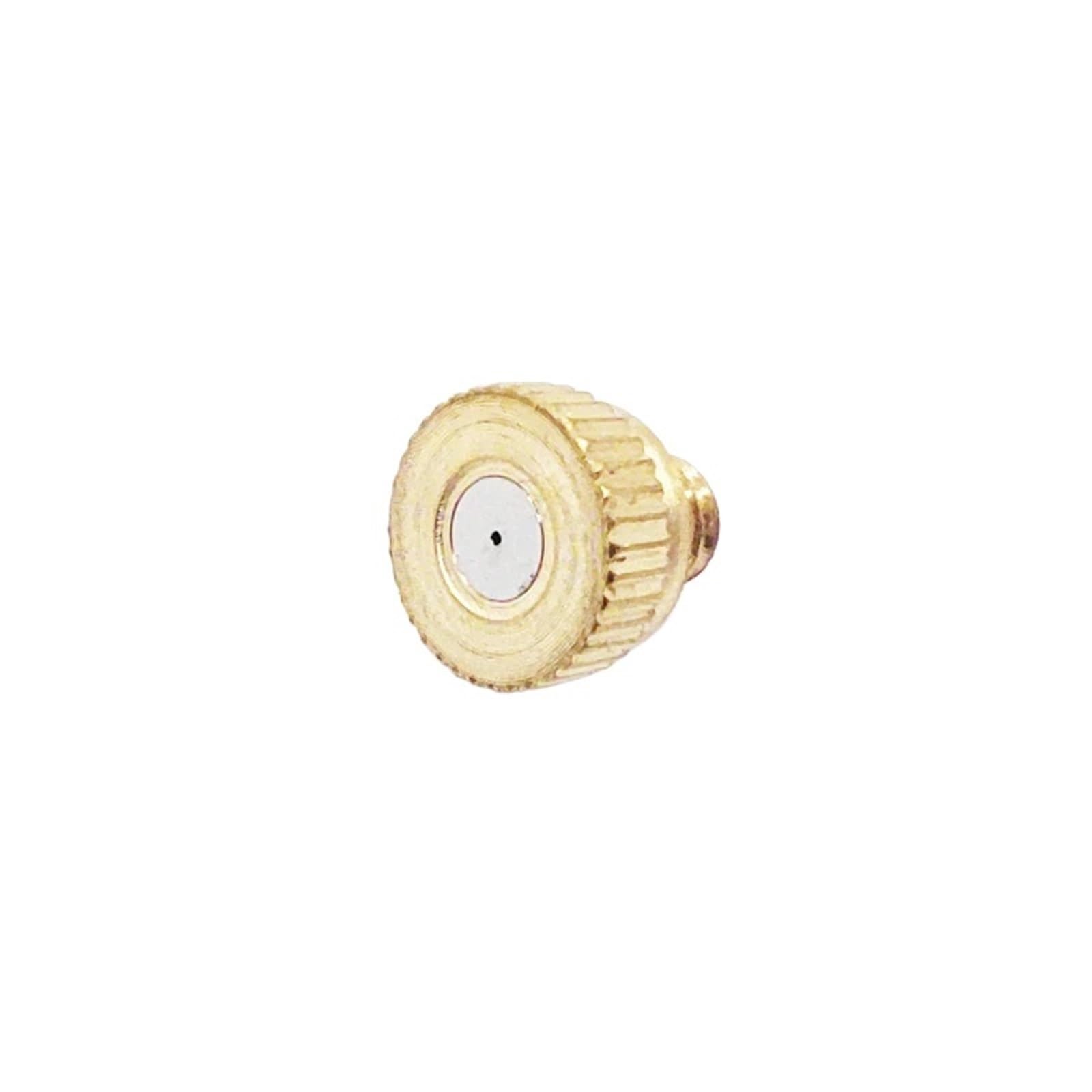 Brass Mister Nozzles 10PCS Threaded Brass Misting Nozzle 0.1-0.8mm Orifice Water Parts Fog(0.3mm)