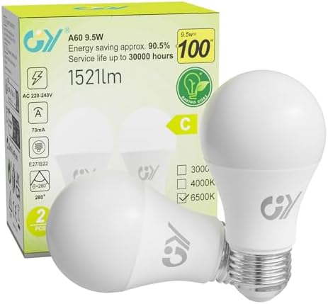 Pack de 2 lâmpadas LED E27 GY luz fria