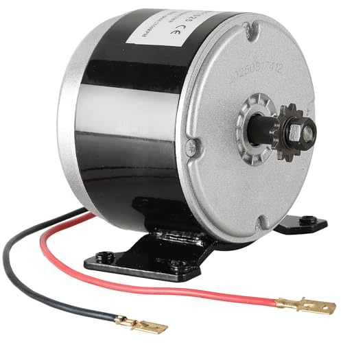 MYFULLY 24V 250W Brushed Permanent Magnet Electric Motor Generator 2550RPM