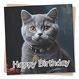 Nokular Beautiful British Shorthair Cat Happy Birthday Card - Special Greetings Card for Family & Friends