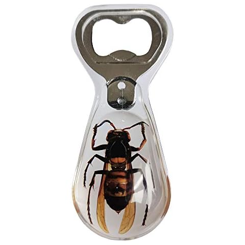 Real Asian Ground Hornet Insect Specimens Built in Beer Wine Bottle Opener, Animal Taxidermy Collection，Opener Crafts (Hornet[Clear]) Cover