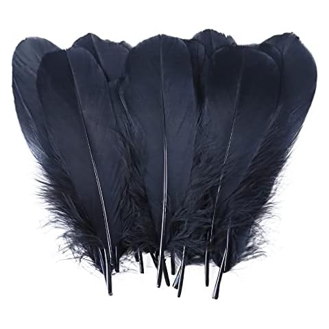Fearafts Black Goose Swan Feathers Value Pack - DIY for Kids' Arts and Crafts, Projects, Dress-Up Home Wedding Decorations and More,Pack of 100 (12Cm-18Cm) Cover