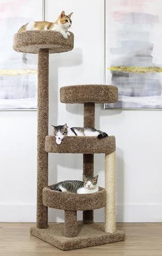Árbol Rascador para Gatos New Cat Condos miniatura 1
