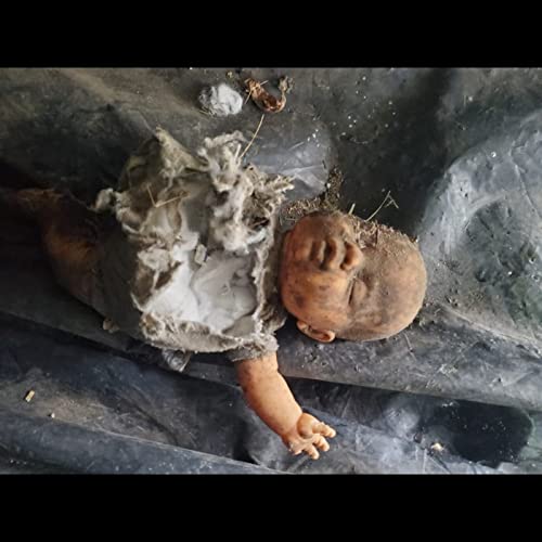 Pest Control Horror Stories