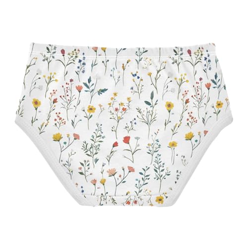 ZZKKO Bohemian Flowers Girls Underwear Toddler Panties for Girls Comfort Brief Size 2-8T2