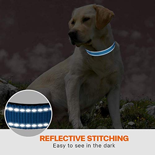 Taglory Hundehalsband, Weich Gepolstertes Neopren Nylon Hunde Halsband für Große Hunde, Verstellbare und Reflektierend für das Training, Himmelblau